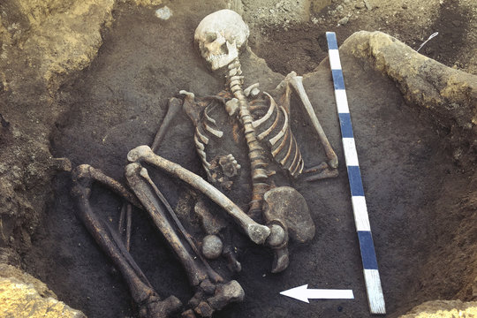 Archaeological excavations and finds (bones of a skeleton in a human burial),  working tool, ruler, arrow direction north, a detail of ancient research, prehistory.