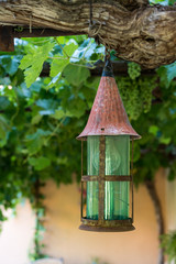 Rusty old lantern in vineyard