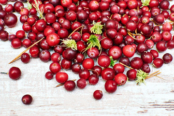 wild fresh cranberries closeup on a spectacular old worn boards
