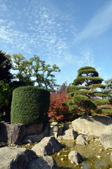 Japangarten in Freiburg