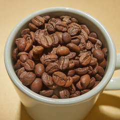 Cup of coffee beans