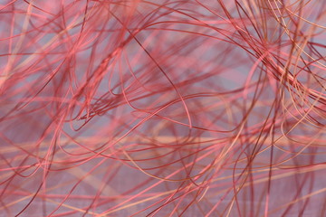 Copper wire abstract network
