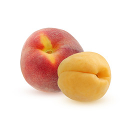 Peach and apricot isolated on a white background.