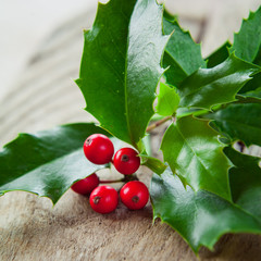 Holly on wooden background.