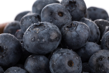 blueberries isolated close up
