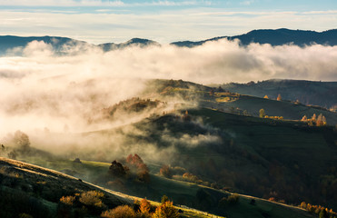 thick fog over the rolling hill in autumn. amazing mountainous countryside landscape at sunrise