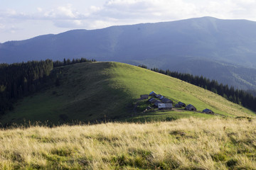 Many houses of shepherds is situated at the foot of the mountain in the pasture, Carpathians