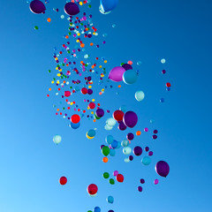 Colorful Balloons flying in the sky party