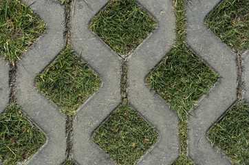 Background of gray paving with green grass