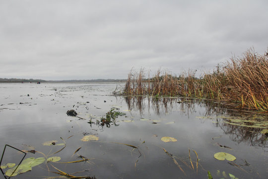 lake obal belarus
