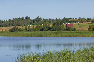 view of the smooth surface of the lake with vegetation