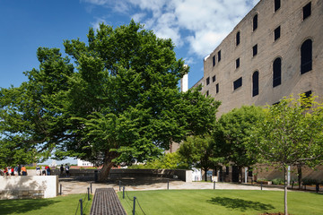 Survivor Tree 2 - Oklahoma City Bombing Memorial