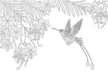 Orchid flowers and hummingbird and palm leaves in the jungle page for adult coloring book in doodle style.