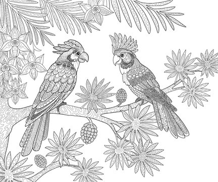 Couple of parrots sitting in the jungle on a palm tree page for adults coloring book in doodle style.