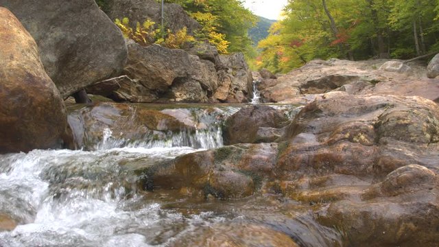 CLOSE UP: Mountain spring cascading down over mossy wet pebble rocks into green river pool in gorgeous autumn red and yellow color forest. Small brook in lush fall foliage woods splashing over stones