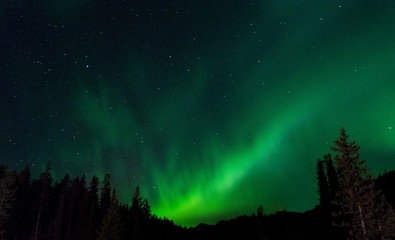 Fototapeta na wymiar Northern lights in Jasper National Park
