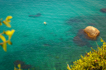 The turquoise clear sea. The transparent bottom. There are stones in the depth. On the foreground greens. The background of the ocean. The surface is smooth.