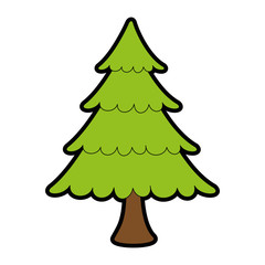 merry christmas pine tree