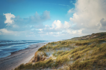 Fototapeta na wymiar Meer und Dünen bei Hauvrig in Dänemark