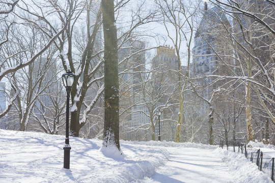 Snow covered Central Park landscape. New York City.
