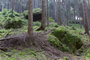 Autumn Landscape in the Czech Switzerland, Czech Republic