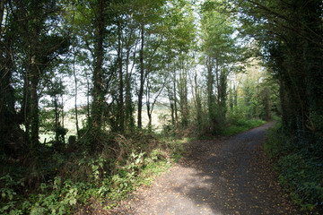 a countryside walk