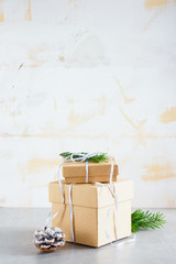 Holiday Cristmas Card