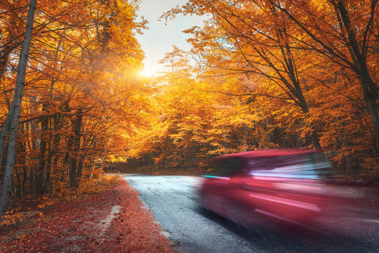 Fototapeta Blurred car going mountain road in autumn forest at sunset. Car in motion in the evening. Beautiful landscape with asphalt road, red car, colorful orange forest and yellow sunlight. Travel background