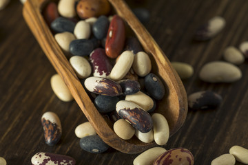 Heap of Assorted Mixed Organic Dry Beans