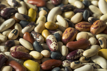 Heap of Assorted Mixed Organic Dry Beans