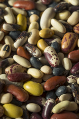 Heap of Assorted Mixed Organic Dry Beans
