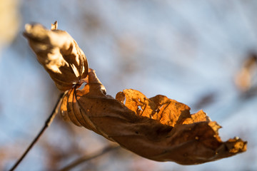 Herbststimmung