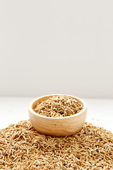 Brown paddy rice closed up