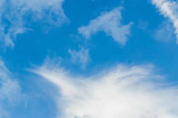 Naklejka na ściany i meble Air clouds in the blue sky.