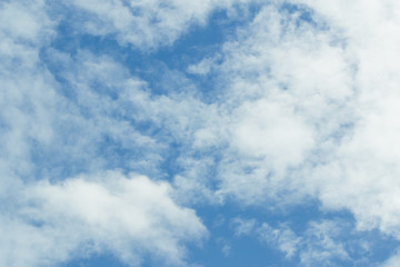 the blue sky
