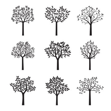 Set Black Trees with Leaves. Vector Illustration.