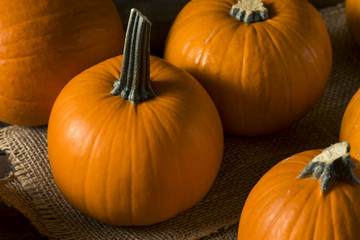 Raw Orange Organic Pie Pumpkins