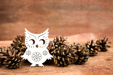 Christmas beautiful owl