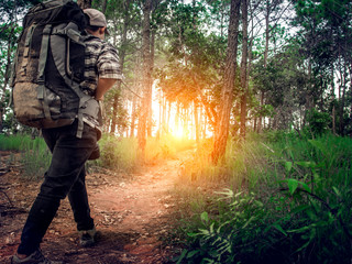 A hiker male with backpack is walking in the autumn forest on a sunny day