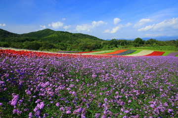 宮城県　やくらいガーデン