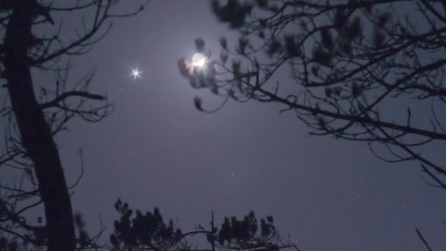 Moon and Venus in the evening sky ZOOM IN EASE