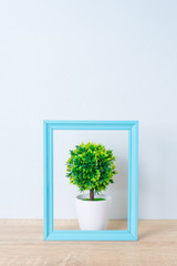 Decorative tree in flower pot on wooden table