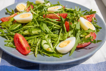 Fresh green salad with arugula, tomatoes, eggs and cucumber