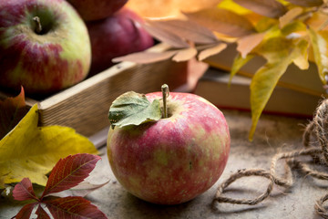 Fresh apples in autumn. Apples with pollen on the skin.