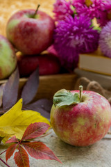 Fresh apples in autumn. Apples with pollen on the skin.