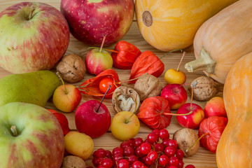 Autumn vegetables, berries and fruits. Seasonal autumn food - pumpkins, corn, apples, pear, viburnum, physalis
