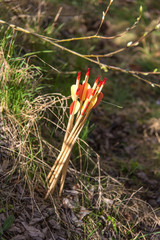 Bogenschießen