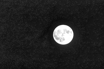 Kunst-voll Mond