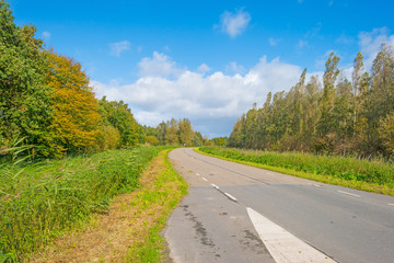 Fototapeta na wymiar Road through the countryside in sunlight in autumn