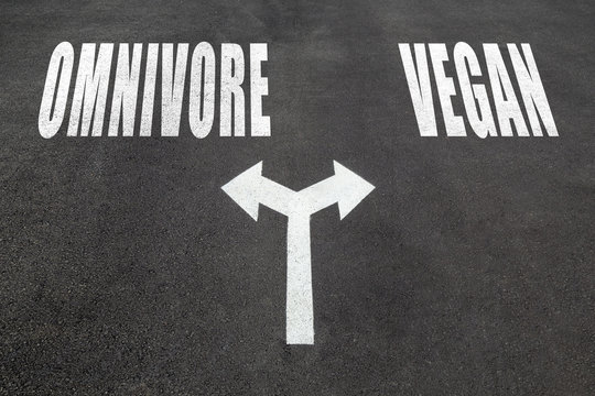 Omnivore vs vegan choice concept